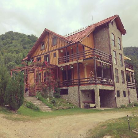 Cabana Soarelui Retezat Nucsoara  Esterno foto