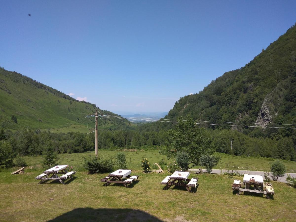Cabana Soarelui Retezat Nucsoara  Esterno foto