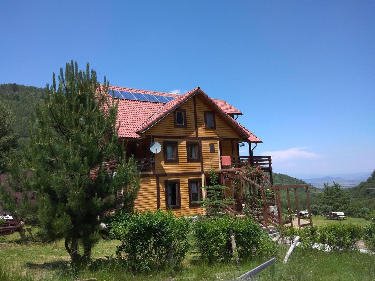 Cabana Soarelui Retezat Nucsoara  Esterno foto