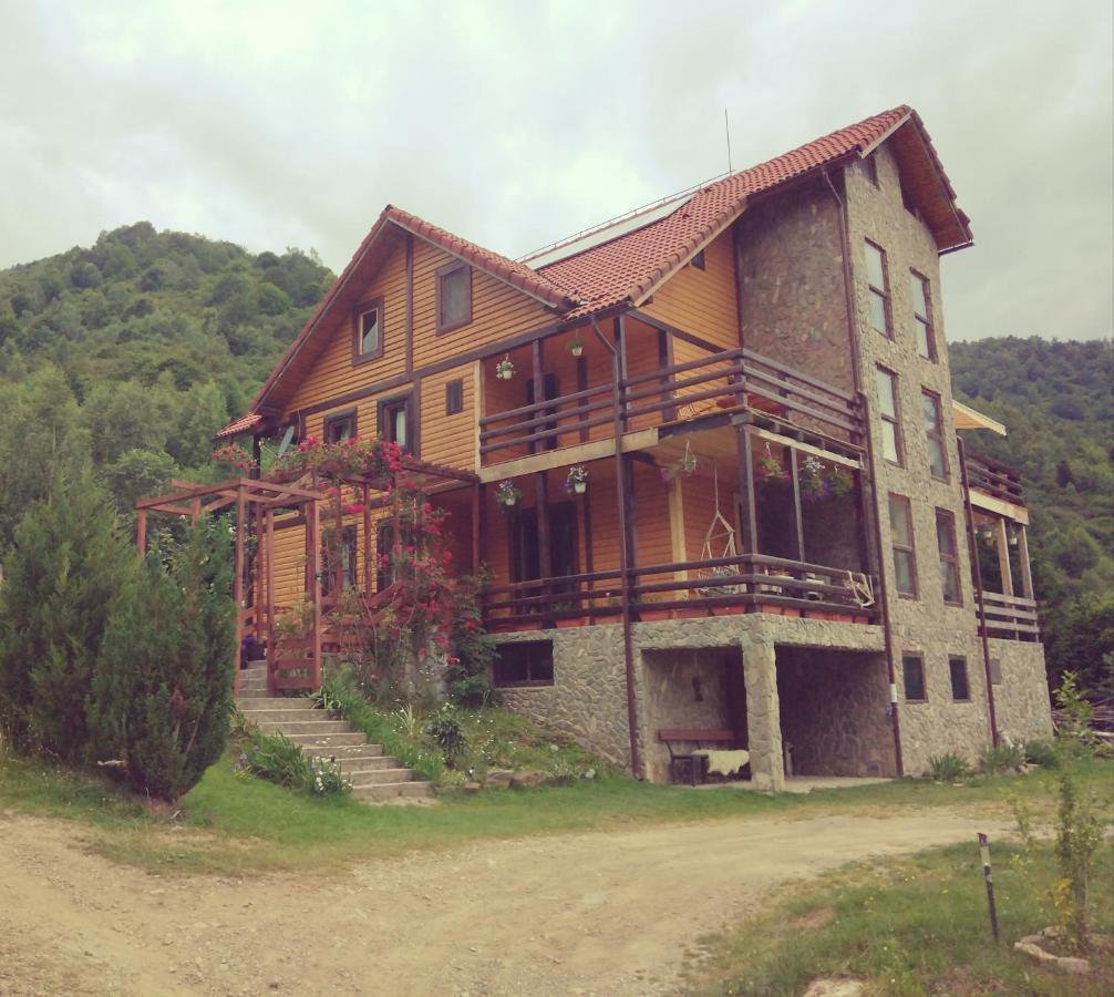 Cabana Soarelui Retezat Nucsoara  Esterno foto
