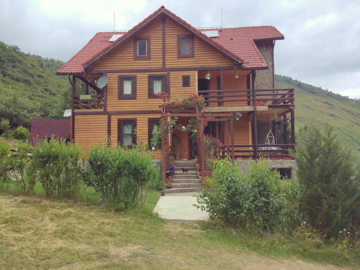 Cabana Soarelui Retezat Nucsoara  Esterno foto